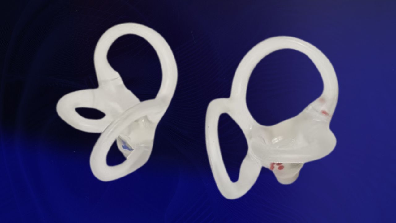 Modelo anatômico dos Canais Semicirculares
